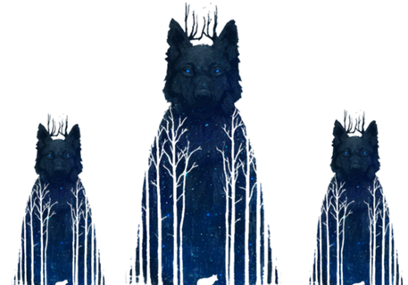 Galaxy Wolf Blue