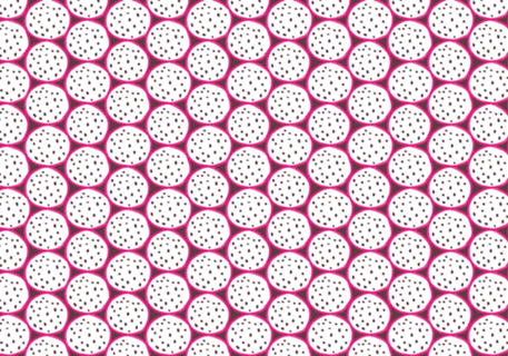 Pitaya