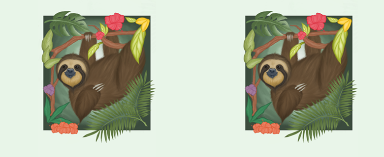 Preguiça do amazonas