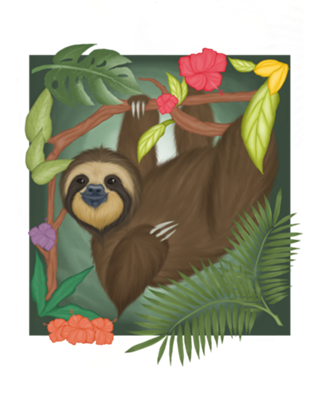 Preguiça do amazonas