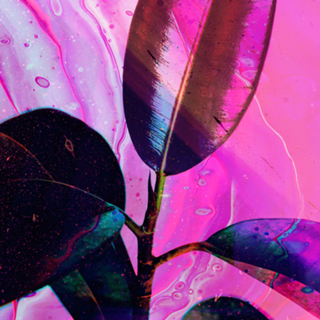 Blue leaf