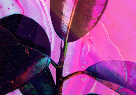 Blue leaf