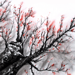Sakura 02