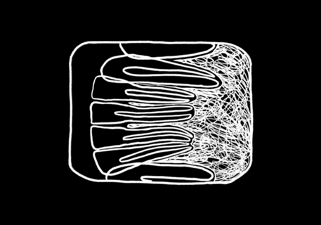 Radiografia periapical de dentes anteriores odonto