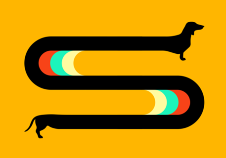 Long Sausage Dog