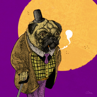 The old Pug