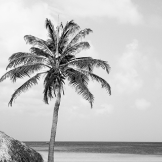 Aruba