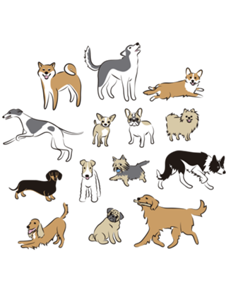 Dogs