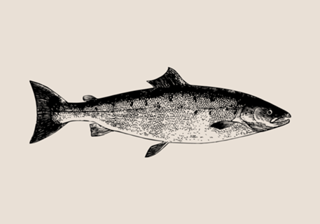 Linha Botânica - Peixe