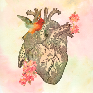 Heart
