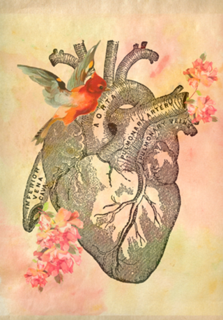Heart