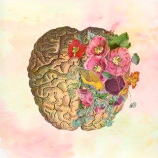 Brain