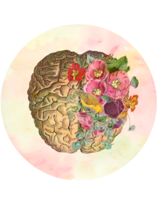 Brain