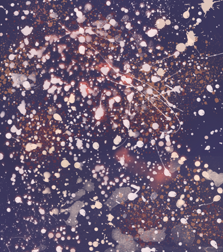 Universo