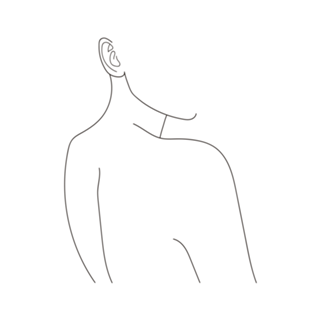 Line Art