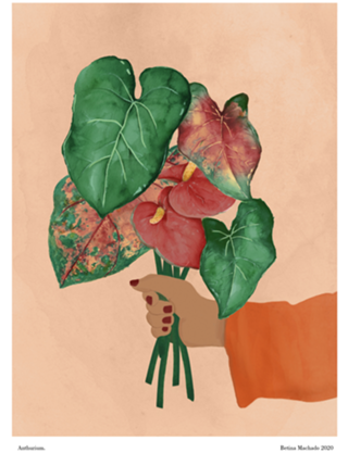 ANTHURIUM