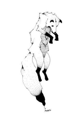 The Fox
