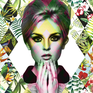 Twiggy inspired