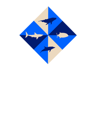 Amo o Mar