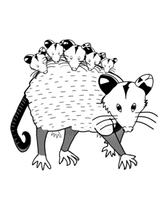 Gambá