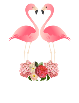 Flamingos & Black