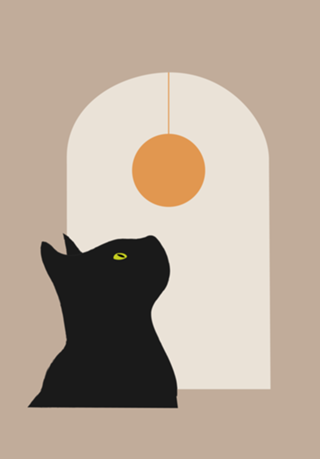 Gato Minimalista
