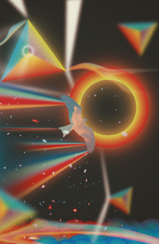 Vortex