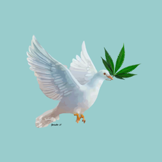 Pomba da Paz