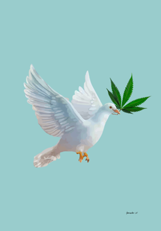Pomba da Paz