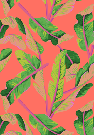 Tropical '19 [Coral Summer]