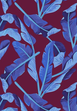 Tropical '17 - Blue Bird Of Paradise
