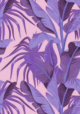 Tropical '17 - Sunbird