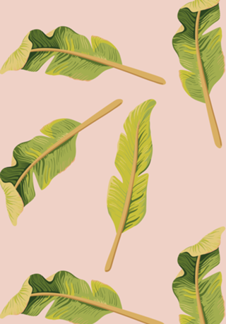 Tropical '17 - Solar