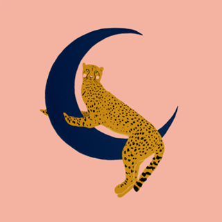 Cheetah na lua