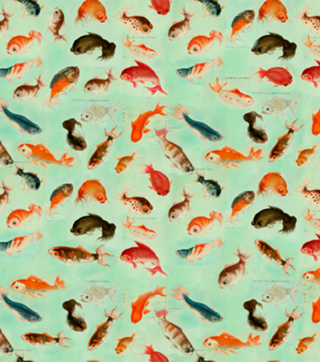 Quem me dera ser um Peixe!