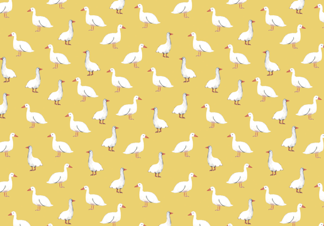 Ganso amarelo