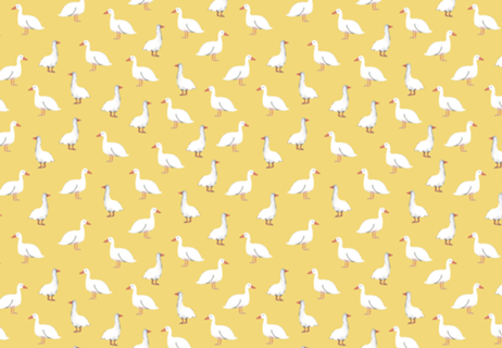 Ganso amarelo