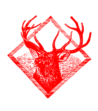 Square Deer