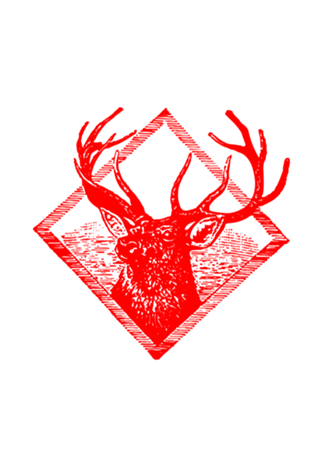 Square Deer