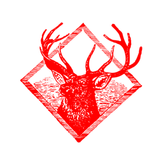 Square Deer