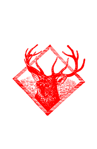 Square Deer