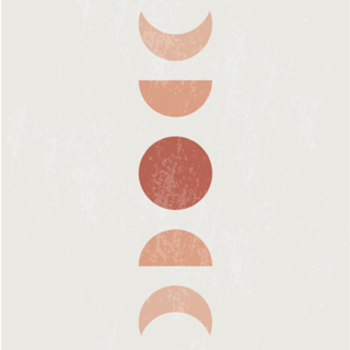 The Moon