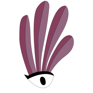 Mystic Eye Rosa