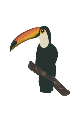 Tucano