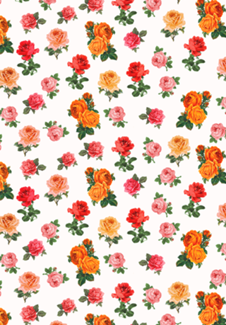The Pocket Encyclopedia of Roses