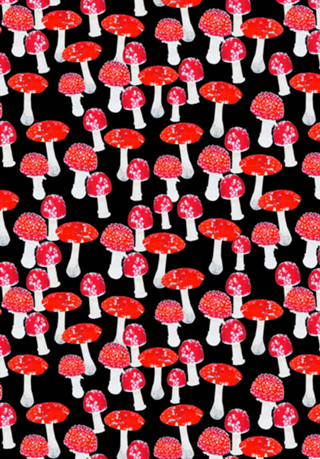 Mushroom