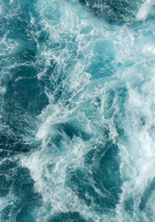 Sea