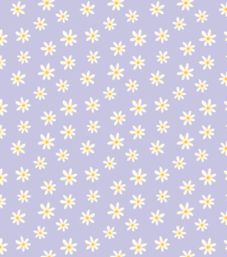 Margaridas (Lilás)