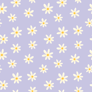 Margaridas (Lilás)