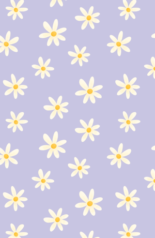 Margaridas (Lilás)